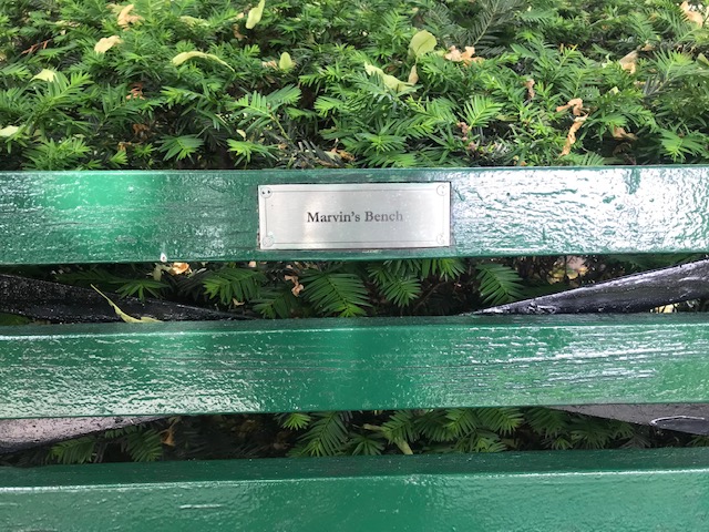 Marvin's Bench